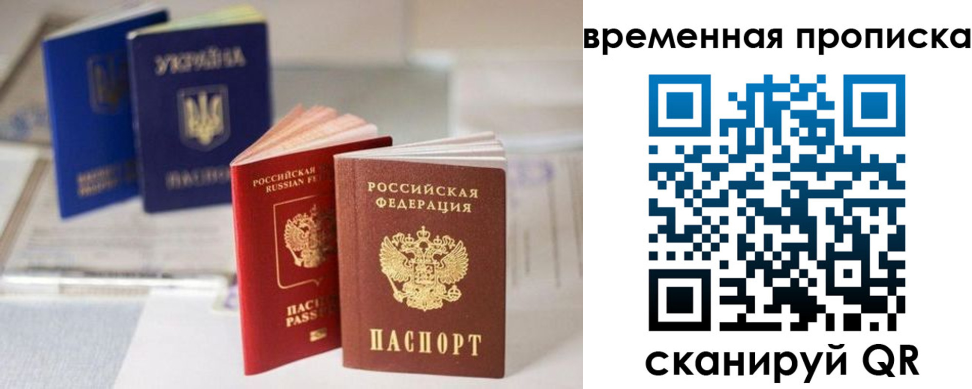 найти адрес прописки в Брянской области